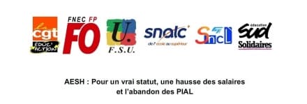 AESH : lancement d&rsquo;une pétition nationale